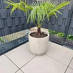 Exklusiv - Jacuzzi Grens Enschede! Apartman Gronau