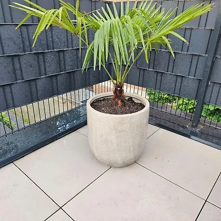 Exklusiv - Jacuzzi Grens Enschede! Apartment Gronau (Westfalen)